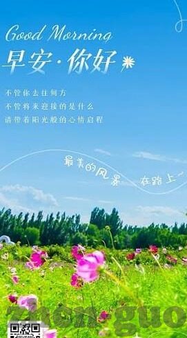 刺猬索尼克2中文字幕-刺猬索尼克2，速度与冒险的中文之旅