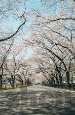 大象传媒2023年隐藏-2023年大象传媒的隐秘篇章，解锁数字时代的创新与变革