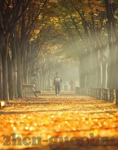 糖心app苹果版免费-深度探索糖心app在苹果系统的免费体验